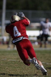 乐鱼体育在线下载-球员心理状态是否影响战术执行精度，论运动员心理因素对排球比赛的影响  第2张