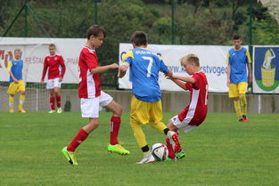 乐鱼官网优惠-自由搏击教练参与校园自卫课程开发，学校自由搏击  第2张